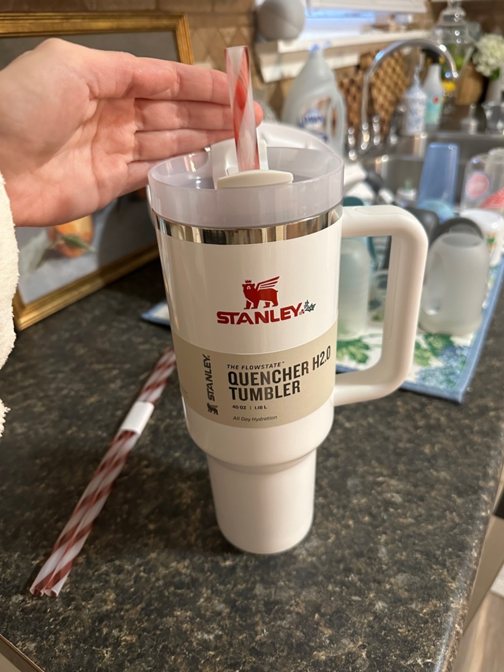 Stanley Christmas Tumbler